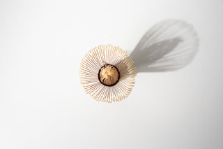 Takayama Bamboo Whisk - Kazuho Sabunsaku Chasen 80 Prong , by Kubo Sabun